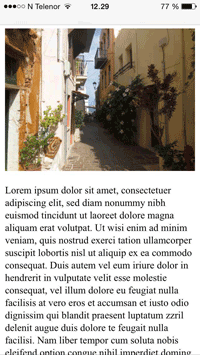 With viewport meta tag
